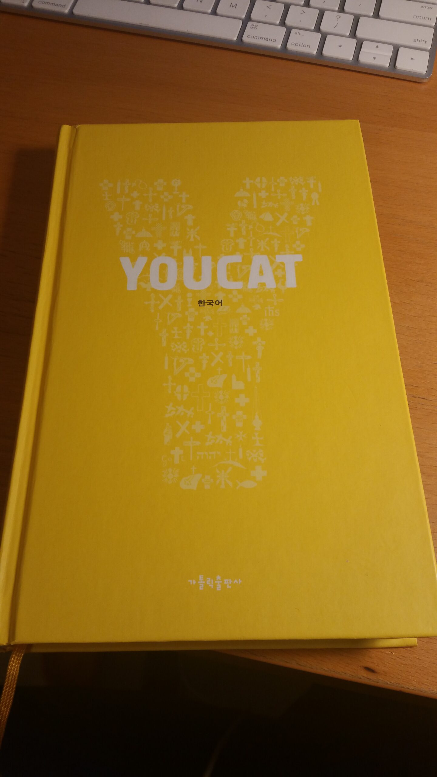 유켓 가톨릭 청년 교리서 Youcat