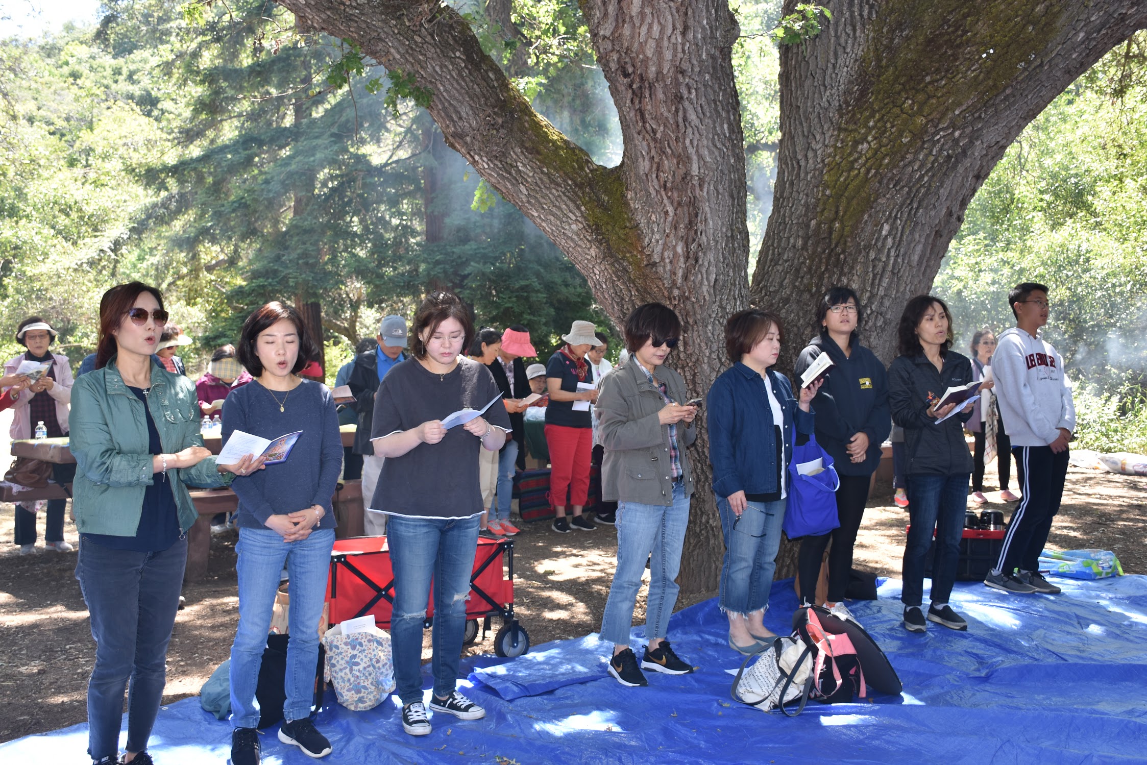 2019 서북미 한인 꼬미시움 야외미사 6.8 -산호세 (Aum Roch Park San Jose)